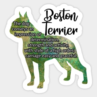 Boston Terrier Sticker